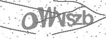 visual captcha